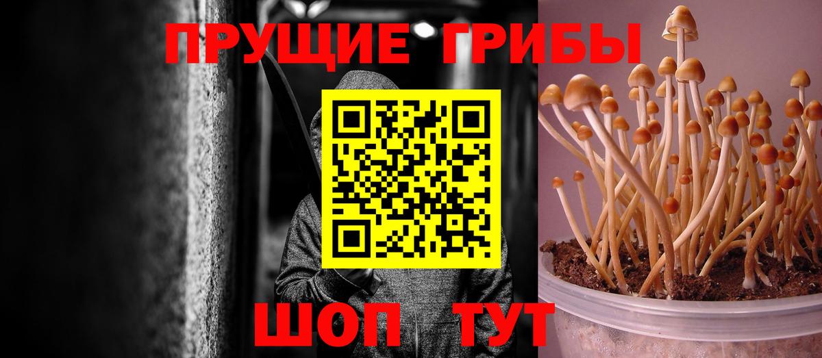 Галлюциногенные грибы мицелий Ржев